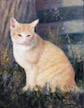 tigris