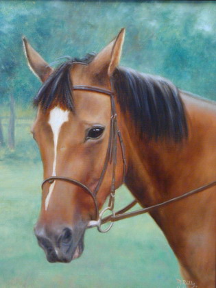 Horse Portrait