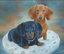 pet portrait - dauschunds