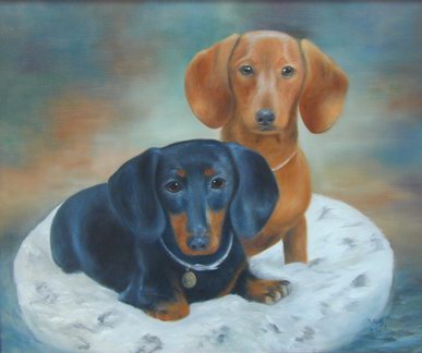 daschund pet portrait
