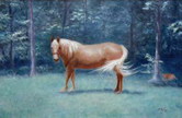 horse portrait