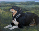 pet portrait