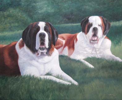St Bernards