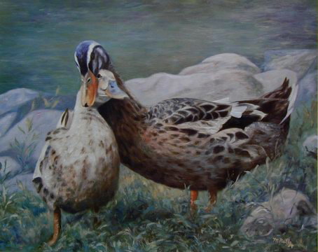 The Courtship
